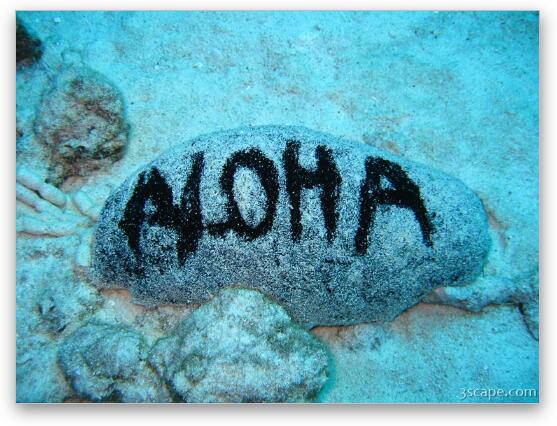 Aloha - scuba diving Maui Fine Art Metal Print