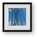 Buy Framed Print