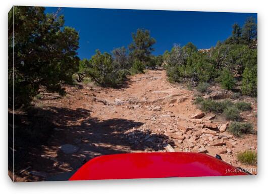 Top of the World trail Fine Art Canvas Print