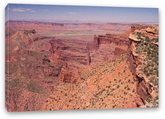 View of the canyonlands from Top of the World Fine Art Canvas Print