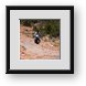Buy Framed Print