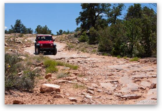 Jeep Rubicon on Top of the World 4x4 trail Fine Art Print