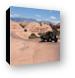 Jeep Rubicon on Little Lion Back slickrock 4x4 trail Canvas Print