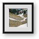 Buy Framed Print