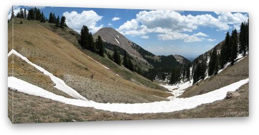 Panoramic view of the La Sal mountains from Burro Pass Fine Art Canvas Print