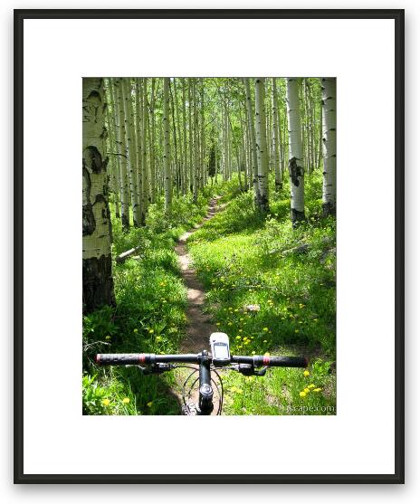 Mountain biking through aspen forest in the La Sal mountains Framed Fine Art Print
