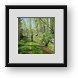 Buy Framed Print