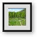Buy Framed Print