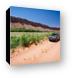 Toyota 4Runner on Mineral Bottom road Canvas Print