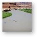 Buy Metal Print
