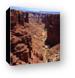 HDR image of Canyonlands National Park Canvas Print
