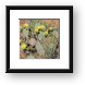 Flowering cactus Framed Print