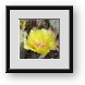Buy Framed Print