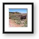 Porcupine Rim Trail at Grandstaff Canyon Framed Print
