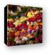 Hot peppers at Pike Place Market Canvas Print