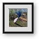 Buy Framed Print