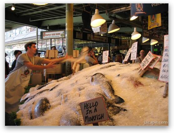 Fish throwing at Pike Place Fish Market Fine Art Print