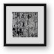 Buy Framed Print
