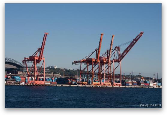 Huge ship cranes in Port of Seattle Fine Art Metal Print