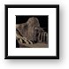 Buy Framed Print