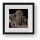 Buy Framed Print