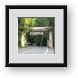 Buy Framed Print