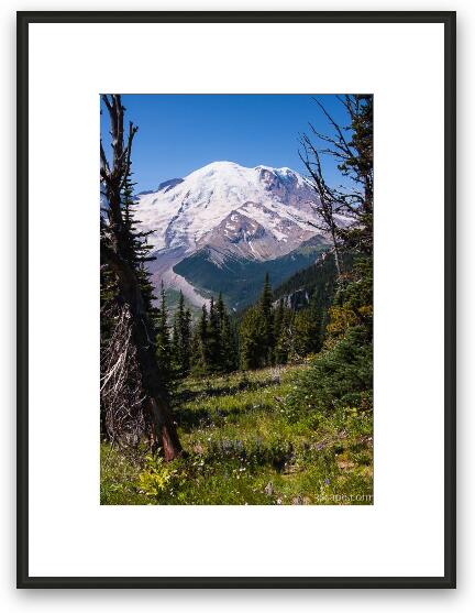 Mt. Rainier Framed Fine Art Print