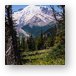 Buy Metal Print