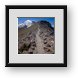 Buy Framed Print