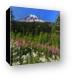 Mount Rainier Canvas Print