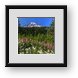 Buy Framed Print