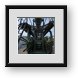 Buy Framed Print