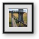 Buy Framed Print