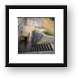 Fort Casey maze of stairs Framed Print