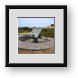 Buy Framed Print
