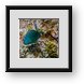 Buy Framed Print