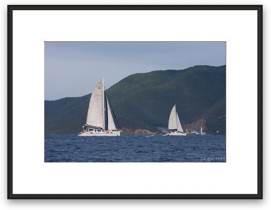 Sailboats Framed Fine Art Print