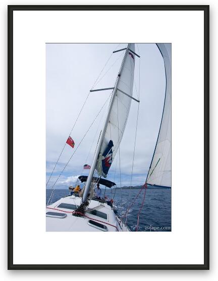 Sailing Framed Fine Art Print