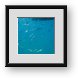 Buy Framed Print