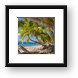 Cooper Island Framed Print