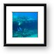 Going into the wreck Framed Print