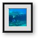 Buy Framed Print