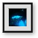 Buy Framed Print