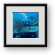Buy Framed Print