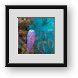 Buy Framed Print