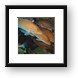 Grunts and other unidentified fish Framed Print
