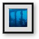Buy Framed Print