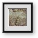 Buy Framed Print