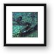 Anchor of the Rhone Framed Print