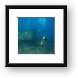 Divers around the wreck Framed Print